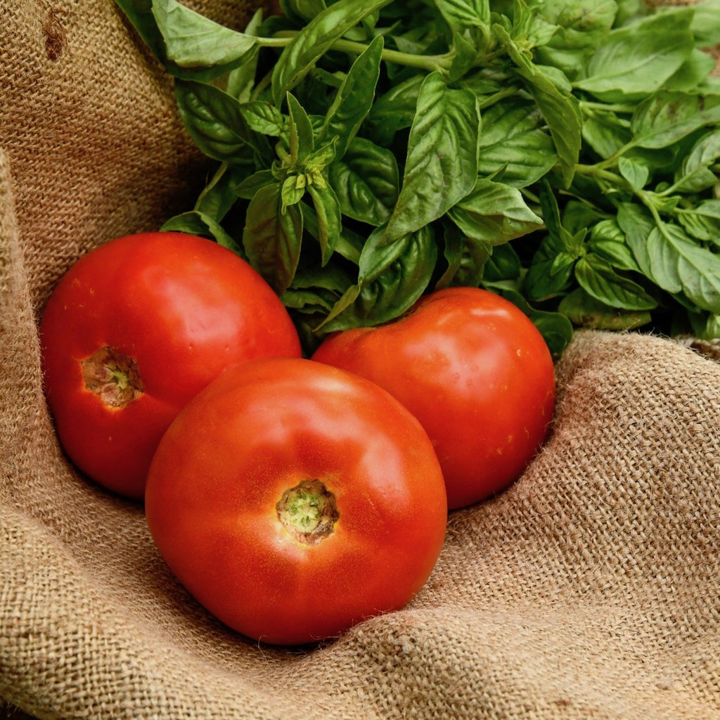 fresh-basil-leaf-online-grocery-supermarket-delivery-singapore-thenewgrocer